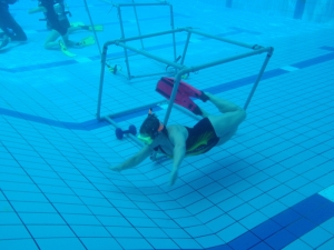 Tauchausbildung Schwimmbad