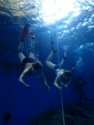 Dive4Life 2017