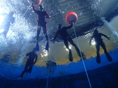 Dive4Life 2017