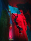 Dive4Life 2018