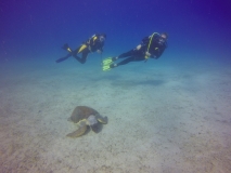 Kas 2016