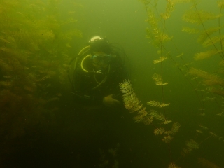 Tauchtreff Jägerweiher