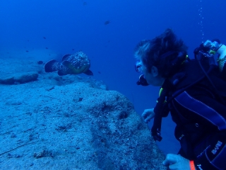 Vereinsfahrt Fuerteventura 2018