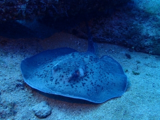 Vereinsfahrt Fuerteventura 2018