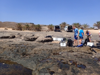 Vereinsfahrt Fuerteventura 2018