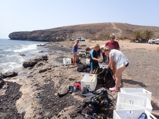 Vereinsfahrt Fuerteventura 2018