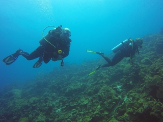Curacao 2018