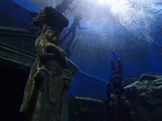 Dive4Live 13.01.2019