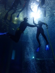 Dive4Live 13.01.2019