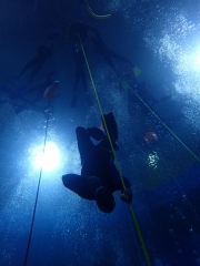 Dive4Live 13.01.2019