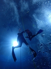 Dive4Live 13.01.2019