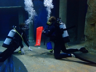 Dive4Live 13.01.2019