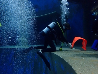Dive4Live 13.01.2019
