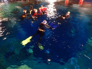 Dive4Live 13.01.2019
