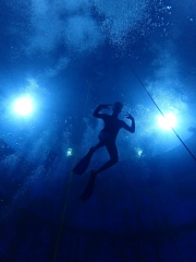 Dive4Live 13.01.2019
