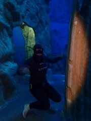 Dive4Live 13.01.2019