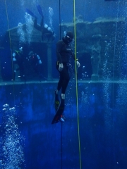 Dive4Live 13.01.2019