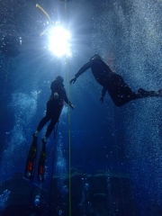 Dive4Live 13.01.2019