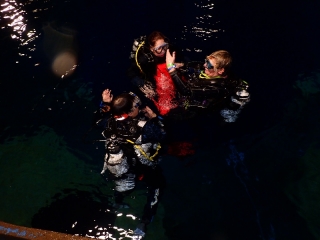 Dive4Live 13.01.2019