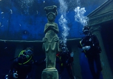 Dive4Live 13.01.2019