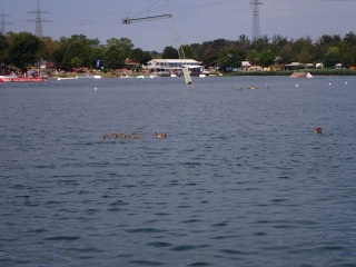 Tauchen im St. Leoner See