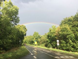 Sommerfest 2019