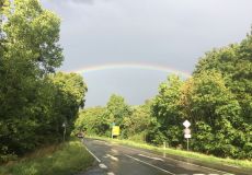 Sommerfest 2019