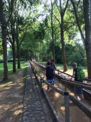 Barfußpfad Bad Sobernheim 2019