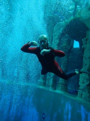 Dive4Life am 23.11.2019