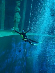 Dive4Life am 23.11.2019