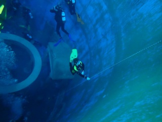 Dive4Life am 23.11.2019