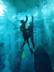 Dive4Life am 23.11.2019