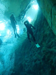 Dive4Life am 23.11.2019