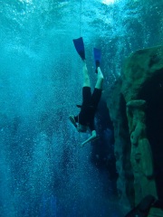 Dive4Life am 23.11.2019