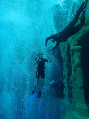 Dive4Life am 23.11.2019