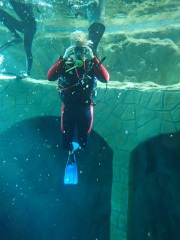 Dive4Life am 23.11.2019