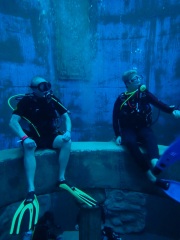 Dive4Life am 23.11.2019
