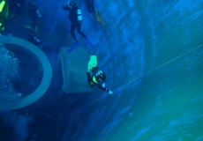 Dive4Life am 23.11.2019