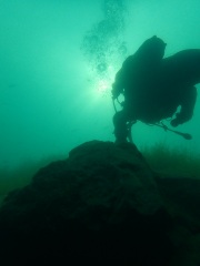 Tauchtreff mit Apnoe am 01.07.2021