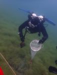 SK Süßwasserbiologie 2021