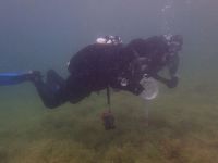 SK Süßwasserbiologie 2021