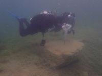 SK Süßwasserbiologie 2021