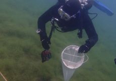 SK Süßwasserbiologie 2021