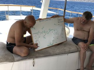 Kas 2021