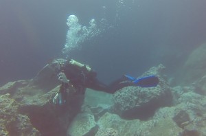 Reisebericht Madeira 2021