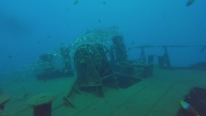 Reisebericht Madeira 2021