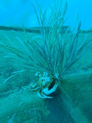 Monte Mare 30.04.2022