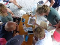 SK Süßwasserbiologie 2022