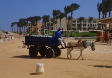 Reisebericht Ägypten 2022 Ines und Kai