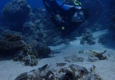 Reisebericht Ägypten 2022 Ines und Kai